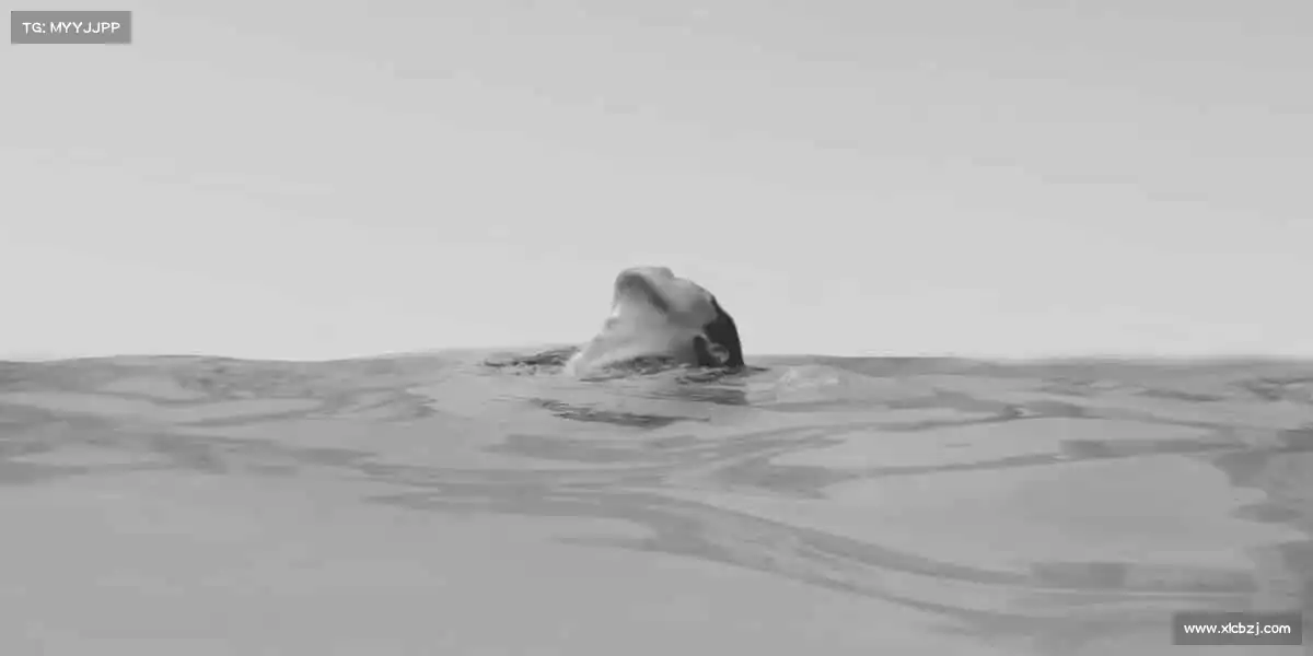 我们的品牌价值